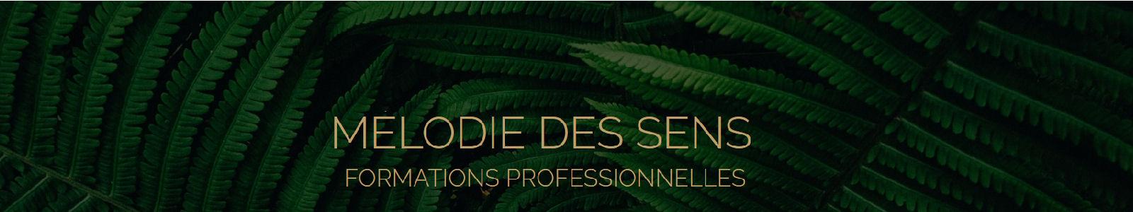 Mélodie des sens Massage à Liré