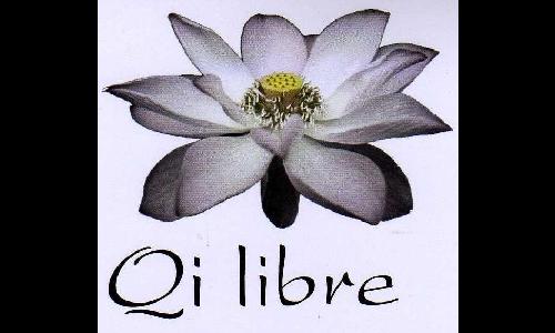 Le Qi Libre Massage anti-cellulite à Le Cannet-des-Maures